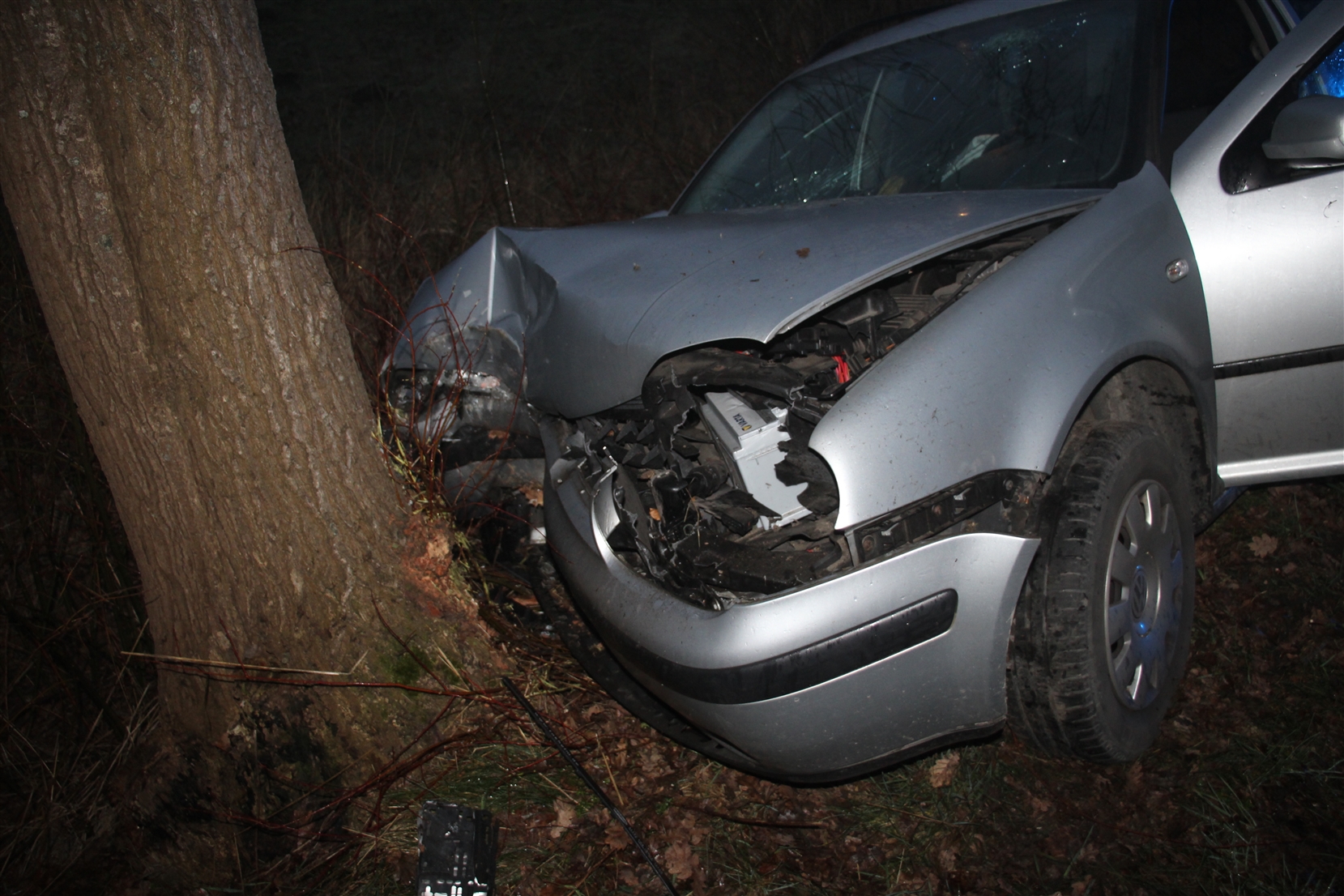 Car involved in a wildlife accident